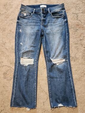 Payton Cropped Straight Stretch Distressed Jean, Raw Hem 31 X 28